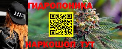 тгк Новодвинск