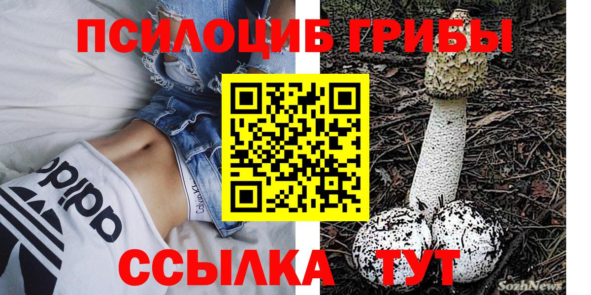 Галлюциногенные грибы Psilocybe Чита
